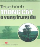 Kỹ thuật trồng rừng ở vùng trung du: Phần 2