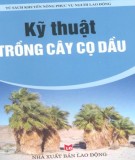 Kỹ thuật trồng và chăm sóc cây cọ dầu: Phần 2