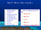 Bài giảng Tin học lớp 10 bài 17: Một số chức năng khác
