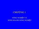 Bài giảng Quản trị kinh doanh nông nghiệp - Chương 1: Nông nghiệp và kinh doanh nông nghiệp