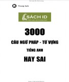 3000 câu ngữ pháp - từ vựng tiếng Anh hay sai: Phần 2