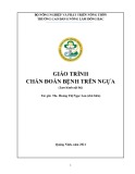 Giáo trình Chẩn đoán bệnh trên ngựa - ThS. Hoàng Thị Ngọc Lan (chủ biên)