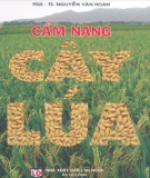 Sổ tay cẩm nang cây lúa (Quyển 1: Thâm canh lúa cao sản) - Phần 2