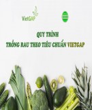 Quy trình sản xuất rau an toàn theo tiêu chuẩn VietGAP