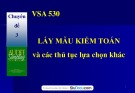 Bài giảng môn Kiểm toán: Chuyên đề 3 - Lấy mẫu kiểm toán và các thủ tục lựa chọn khác