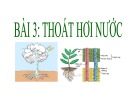 Bài giảng môn Sinh học lớp 11 bài 3: Thoát hơi nước