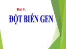 Bài giảng môn Sinh học lớp 12 bài 4: Đột biến gen