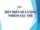 Bài giảng môn Sinh học lớp 12 bài 6: Đột biến số lượng nhiễm sắc thể