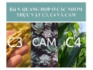 Bài giảng Sinh học lớp 11 bài 9: Quang hợp ở các nhóm thực vật C3, C4 và CAM