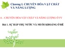 Bài giảng Sinh học lớp 11 bài 1: Sự hấp thụ nước và muối khoáng ở rễ