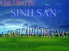 Bài giảng Sinh học lớp 11 bài 41: Sinh sản vô tính ở thực vật