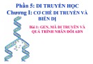 Bài giảng môn Sinh học lớp 12 bài 1: Gen, mã di truyền và quá trình nhân đôi ADN