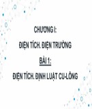 Bài giảng Vật lý lớp 11: Chương 1 - Điện tích. Điện trường