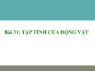 Bài giảng Sinh học lớp 11 bài 31: Tập tính của động vật