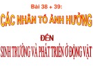 Bài giảng Sinh học lớp 11 bài 38 + 39: Các nhân tố ảnh hưởng đến sự sinh trưởng và phát triển của động vật