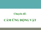 Bài giảng Sinh học lớp 11: Chuyên đề - Cảm ứng động vật