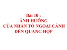 Bài giảng Sinh học lớp 11 bài 10: Ảnh hưởng của nhân tố ngoại cảnh đến quang hợp