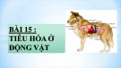 Bài giảng Sinh học lớp 11 bài 15: Tiêu hóa ở động vật