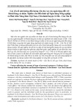 Các yếu tố ảnh hưởng đến lượng vốn cho vay của ngân hàng đối với khách hàng cá nhân: Nghiên cứu điển hình tại Ngân hàng Nông nghiệp và Phát triển Nông thôn Việt Nam, Chi nhánh huyện Cờ Đỏ - Cần Thơ II