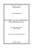 Tóm tắt luận văn Thạc sĩ Kinh tế: Phát triển cụm công nghiệp trong nông thôn tỉnh Gia Lai