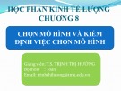 Bài giảng Kinh tế lượng: Chương 8 - TS. Trịnh Thị Hường