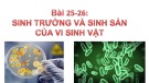 Bài giảng Sinh học lớp 10 bài 25, 26: Sinh trưởng và sinh sản của vi sinh vật