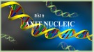 Bài giảng môn Sinh học lớp 10 bài 6: Axit Nucleic