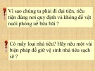 Bài giảng Tự nhiên xã hội lớp 3: Vệ sinh môi trường - Vũ Thị Kim Ngọc