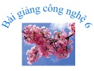 Bài giảng Công nghệ lớp 6 bài 2: Lựa chọn trang phục