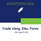 Trade vàng, dầu, forex cho người mới