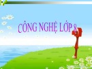 Bài giảng Công nghệ lớp 8 bài 33: An toàn điện