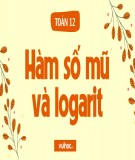 Giáo án Giải tích lớp 12: Chuyên đề 2 bài 3 - Hàm số mũ và hàm số lôgarit