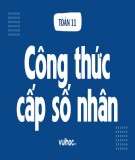 Giáo án Đại số lớp 11: Chuyên đề - Cấp số nhân