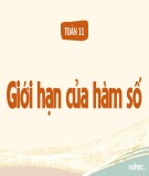 Giáo án Đại số lớp 11: Giới hạn của hàm số