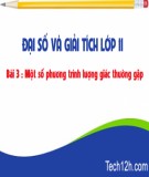 Giáo án Đại số lớp 11: Chuyên đề - Một số phương trình lượng giác thường gặp