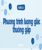 Giáo án Đại số 11: Phương trình lượng giác cơ bản