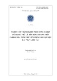 Luận án Tiến sĩ Hoá học: Nghiên cứu than hóa phụ phẩm nông nghiệp (vỏ hạt cà phê, lõi bắp) bằng phương pháp carbon hóa thủy nhiệt, ứng dụng làm vật liệu hấp phụ và xúc tác