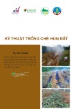 Kỹ thuật trồng chè hun đất