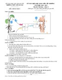 Đề thi học sinh giỏi môn Sinh học lớp 11 cấp trường năm 2018-2019 - Trường THPT Lưu Hoàng
