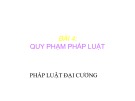 Bài giảng Pháp luật đại cương - Bài 4: Quy phạm pháp luật (Trường ĐH Kiến trúc - ĐH Đà Nẵng)