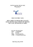 Báo cáo tốt nghiệp: Phát triển sản phẩm thẻ tại Ngân hàng thương mại cổ phần Kỹ Thương Việt Nam – Chi nhanh Lái Thiêu