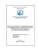 Khoá luận tốt nghiệp: Hình tượng nhân vật Andrei Bolkonsky và Pierre Bezukhov trong tiểu thuyết Chiến tranh và hòa bình của Lev Nikolayevich Tolstoy