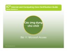 Bài giảng Các ứng dụng chủ chốt bài 11: Microsoft Access