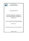 Luận văn Thạc sĩ Quản trị kinh doanh: Giải pháp marketing cho dịch vụ Viễn thông di động tại Mobifone tỉnh Gia Lai