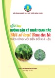 Hướng dẫn kỹ thuật canh tác một số loại Rau ăn lá thích ứng với biến đổi khí hậu