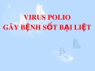 Bài giảng Virus polio gây bệnh sốt bại liệt