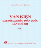 Văn kiện Đại hội đại biểu toàn quốc lần thứ XIII (Tập 1)