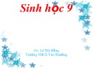 Bài giảng Sinh học lớp 9 bài 15: ADN