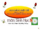 Bài giảng môn Sinh học 8 bài 13: Máu và môi trường trong cơ thể