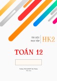 Tài liệu học tập môn Toán lớp 12 học kì 2 - Huỳnh Phú Sĩ